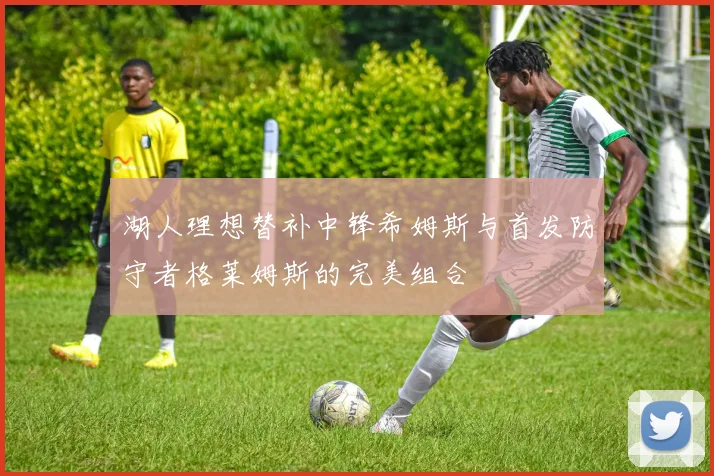 湖人理想替补中锋希姆斯与首发防守者格莱姆斯的完美组合
